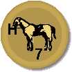 Horse B